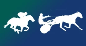 reunion mixte mini.webp