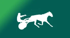 reunion trot mini.webp