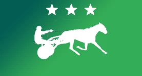 reunion trot premium star.webp